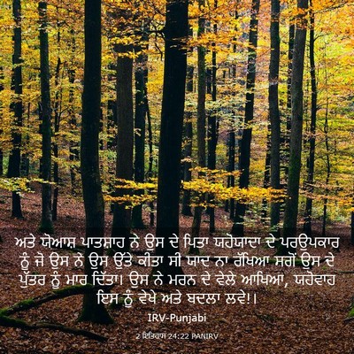 Picture 03 - 2 ਇਤਿਹਾਸ 24:22 PANIRV - ਅਤੇ ਯੋਆਸ਼ ਪਾਤਸ਼ਾਹ - Bible Verse Picture