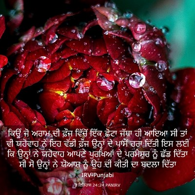 Picture 03 - 2 ਇਤਿਹਾਸ 24:24 PANIRV - ਕਿਉਂ ਜੋ ਅਰਾਮ ਦੀ - Bible Verse Picture