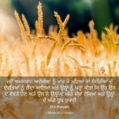Picture 03 - 2 ਇਤਿਹਾਸ 25:14 PANIRV - ਜਦੋਂ ਅਮਸਯਾਹ - Bible Verse Picture