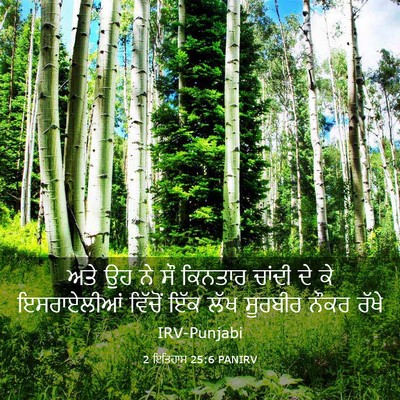Picture 03 - 2 ਇਤਿਹਾਸ 25:6 PANIRV - ਅਤੇ ਉਹ ਨੇ ਸੌ ਕਿਨਤਾਰ - Bible Verse Picture