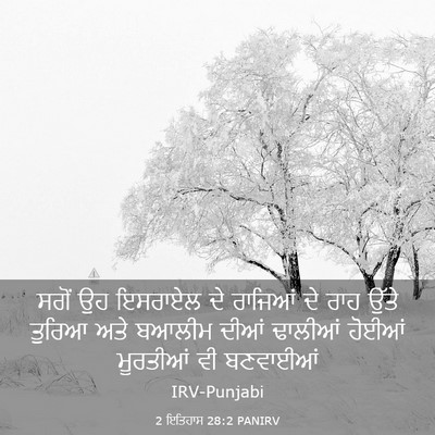 Picture 03 - 2 ਇਤਿਹਾਸ 28:2 PANIRV - ਸਗੋਂ ਉਹ ਇਸਰਾਏਲ ਦੇ - Bible Verse Picture