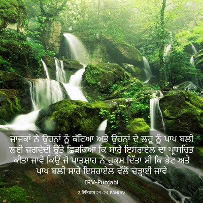 Picture 03 - 2 ਇਤਿਹਾਸ 29:24 PANIRV - ਜਾਜਕਾਂ ਨੇ ਉਹਨਾਂ - Bible Verse Picture