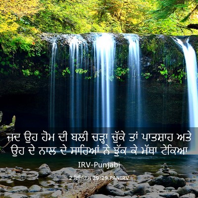 Picture 03 - 2 ਇਤਿਹਾਸ 29:29 PANIRV - ਜਦ ਉਹ ਹੋਮ ਦੀ ਬਲੀ - Bible Verse Picture