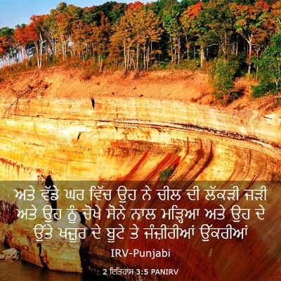 Picture 03 - 2 ਇਤਿਹਾਸ 3:5 PANIRV - ਅਤੇ ਵੱਡੇ ਘਰ ਵਿੱਚ ਉਹ - Bible Verse Picture