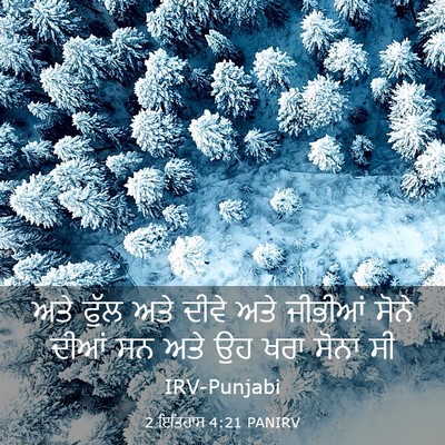 Picture 03 - 2 ਇਤਿਹਾਸ 4:21 PANIRV - ਅਤੇ ਫੁੱਲ ਅਤੇ ਦੀਵੇ - Bible Verse Picture