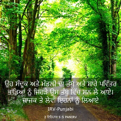 Picture 03 - 2 ਇਤਿਹਾਸ 5:5 PANIRV - ਉਹ ਸੰਦੂਕ ਅਤੇ ਮੰਡਲੀ - Bible Verse Picture