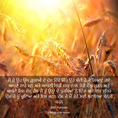 Picture 03 - 2 ਇਤਿਹਾਸ 6:38 PANIRV - ਸੋ ਜੇ ਉਹ ਉਸ ਗ਼ੁਲਾਮੀ - Bible Verse Picture