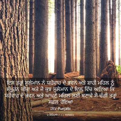 Picture 03 - 2 ਇਤਿਹਾਸ 7:11 PANIRV - ਇਸ ਤਰ੍ਹਾਂ ਸੁਲੇਮਾਨ - Bible Verse Picture