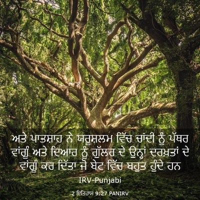 Picture 03 - 2 ਇਤਿਹਾਸ 9:27 PANIRV - ਅਤੇ ਪਾਤਸ਼ਾਹ ਨੇ - Bible Verse Picture