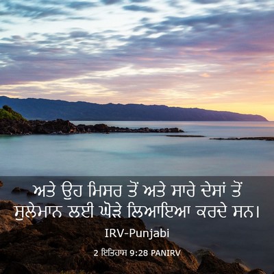 Picture 03 - 2 ਇਤਿਹਾਸ 9:28 PANIRV - ਅਤੇ ਉਹ ਮਿਸਰ ਤੋਂ ਅਤੇ - Bible Verse Picture