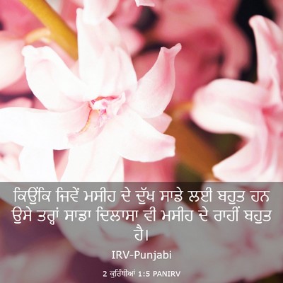 Picture 03 - 2 ਕੁਰਿੰਥੀਆਂ 1:5 PANIRV - ਕਿਉਂਕਿ ਜਿਵੇਂ ਮਸੀਹ - Bible Verse Picture