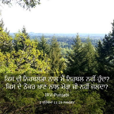 Picture 03 - 2 ਕੁਰਿੰਥੀਆਂ 11:29 PANIRV - ਕਿਸ ਦੀ ਨਿਰਬਲਤਾ ਨਾਲ - Bible Verse Picture