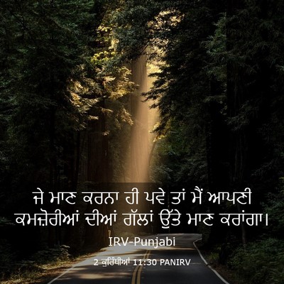 Picture 03 - 2 ਕੁਰਿੰਥੀਆਂ 11:30 PANIRV - ਜੇ ਮਾਣ ਕਰਨਾ ਹੀ ਪਵੇ - Bible Verse Picture