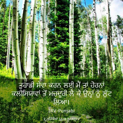 Picture 03 - 2 ਕੁਰਿੰਥੀਆਂ 11:8 PANIRV - ਤੁਹਾਡੀ ਸੇਵਾ ਕਰਨ ਲਈ - Bible Verse Picture
