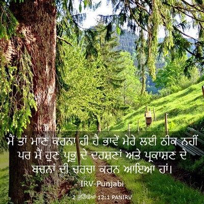Picture 03 - 2 ਕੁਰਿੰਥੀਆਂ 12:1 PANIRV - ਮੈਂ ਤਾਂ ਮਾਣ ਕਰਨਾ ਹੀ - Bible Verse Picture