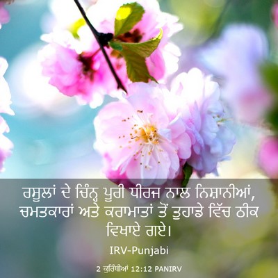 Picture 03 - 2 ਕੁਰਿੰਥੀਆਂ 12:12 PANIRV - ਰਸੂਲਾਂ ਦੇ ਚਿੰਨ੍ਹ - Bible Verse Picture