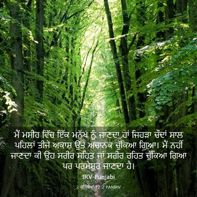 Picture 03 - 2 ਕੁਰਿੰਥੀਆਂ 12:2 PANIRV - ਮੈਂ ਮਸੀਹ ਵਿੱਚ ਇੱਕ - Bible Verse Picture