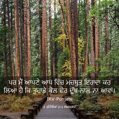 Picture 03 - 2 ਕੁਰਿੰਥੀਆਂ 2:1 PANIRV - ਪਰ ਮੈਂ ਆਪਣੇ ਆਪ ਵਿੱਚ - Bible Verse Picture