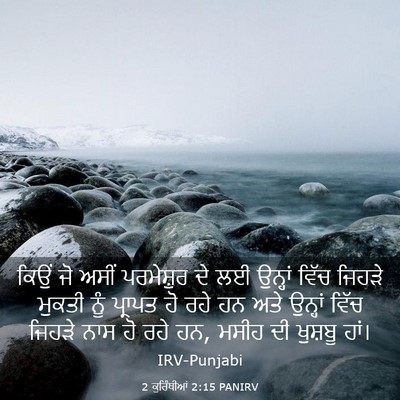 Picture 03 - 2 ਕੁਰਿੰਥੀਆਂ 2:15 PANIRV - ਕਿਉਂ ਜੋ ਅਸੀਂ - Bible Verse Picture