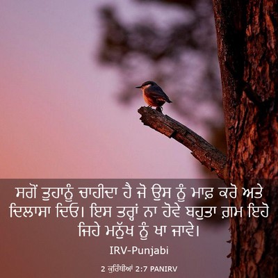 Picture 03 - 2 ਕੁਰਿੰਥੀਆਂ 2:7 PANIRV - ਸਗੋਂ ਤੁਹਾਨੂੰ - Bible Verse Picture
