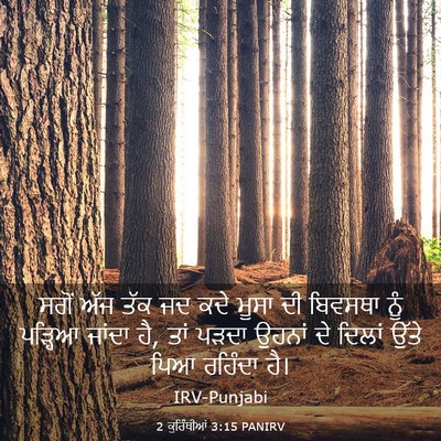 Picture 03 - 2 ਕੁਰਿੰਥੀਆਂ 3:15 PANIRV - ਸਗੋਂ ਅੱਜ ਤੱਕ ਜਦ ਕਦੇ - Bible Verse Picture