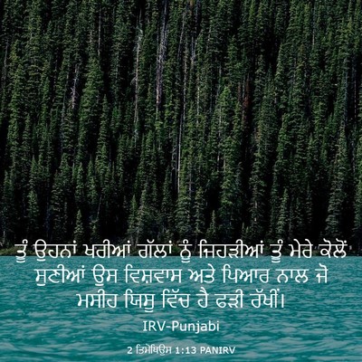 Picture 03 - 2 ਤਿਮੋਥਿਉਸ 1:13 PANIRV - ਤੂੰ ਉਹਨਾਂ ਖਰੀਆਂ - Bible Verse Picture