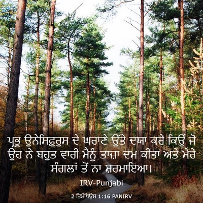 Picture 03 - 2 ਤਿਮੋਥਿਉਸ 1:16 PANIRV - ਪ੍ਰਭੂ ਉਨੇਸਿਫ਼ੁਰੁਸ - Bible Verse Picture
