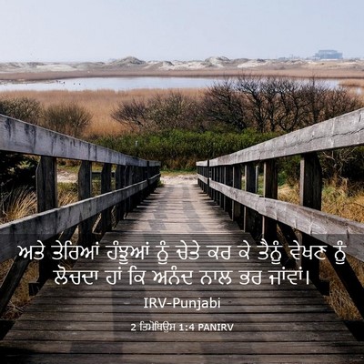 Picture 03 - 2 ਤਿਮੋਥਿਉਸ 1:4 PANIRV - ਅਤੇ ਤੇਰਿਆਂ ਹੰਝੂਆਂ - Bible Verse Picture