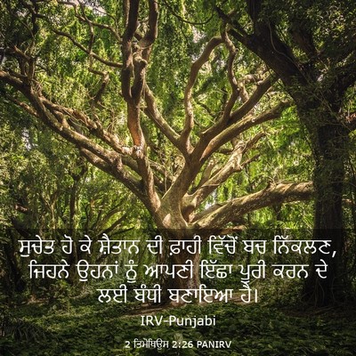 Picture 03 - 2 ਤਿਮੋਥਿਉਸ 2:26 PANIRV - ਸੁਚੇਤ ਹੋ ਕੇ ਸ਼ੈਤਾਨ - Bible Verse Picture