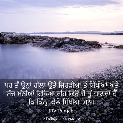 Picture 03 - 2 ਤਿਮੋਥਿਉਸ 3:14 PANIRV - ਪਰ ਤੂੰ ਉਨ੍ਹਾਂ - Bible Verse Picture