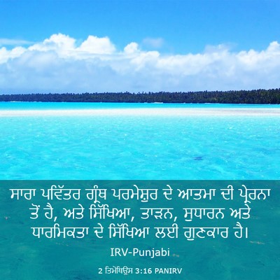 Picture 03 - 2 ਤਿਮੋਥਿਉਸ 3:16 PANIRV - ਸਾਰਾ ਪਵਿੱਤਰ ਗ੍ਰੰਥ - Bible Verse Picture