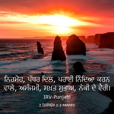 Picture 03 - 2 ਤਿਮੋਥਿਉਸ 3:3 PANIRV - ਨਿਰਮੋਹ, ਪੱਥਰ ਦਿਲ, - Bible Verse Picture