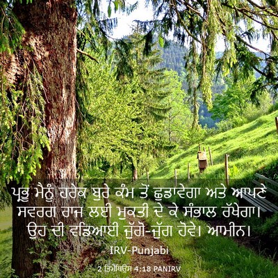 Picture 03 - 2 ਤਿਮੋਥਿਉਸ 4:18 PANIRV - ਪ੍ਰਭੂ ਮੈਨੂੰ ਹਰੇਕ - Bible Verse Picture