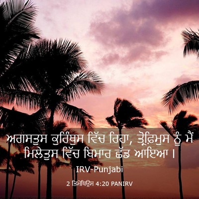 Picture 03 - 2 ਤਿਮੋਥਿਉਸ 4:20 PANIRV - ਅਗਸਤੁਸ ਕੁਰਿੰਥੁਸ - Bible Verse Picture
