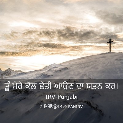Picture 03 - 2 ਤਿਮੋਥਿਉਸ 4:9 PANIRV - ਤੂੰ ਮੇਰੇ ਕੋਲ ਛੇਤੀ - Bible Verse Picture
