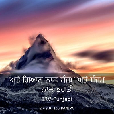 Picture 03 - 2 ਪਤਰਸ 1:6 PANIRV - ਅਤੇ ਗਿਆਨ ਨਾਲ ਸੰਜਮ - Bible Verse Picture