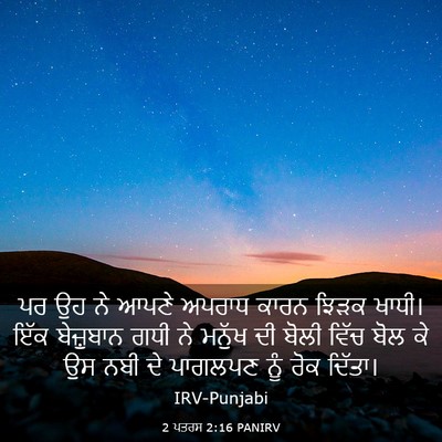 Picture 03 - 2 ਪਤਰਸ 2:16 PANIRV - ਪਰ ਉਹ ਨੇ ਆਪਣੇ ਅਪਰਾਧ - Bible Verse Picture