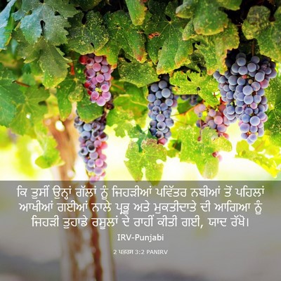 Picture 03 - 2 ਪਤਰਸ 3:2 PANIRV - ਕਿ ਤੁਸੀਂ ਉਨ੍ਹਾਂ - Bible Verse Picture