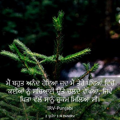 Picture 03 - 2 ਯੂਹੰਨਾ 1:4 PANIRV - ਮੈਂ ਬਹੁਤ ਅਨੰਦ ਹੋਇਆ - Bible Verse Picture