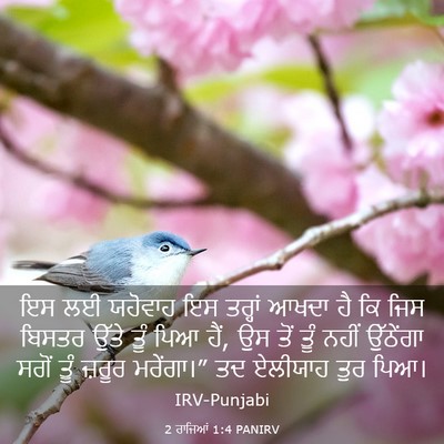 Picture 03 - 2 ਰਾਜਿਆਂ 1:4 PANIRV - ਇਸ ਲਈ ਯਹੋਵਾਹ ਇਸ - Bible Verse Picture