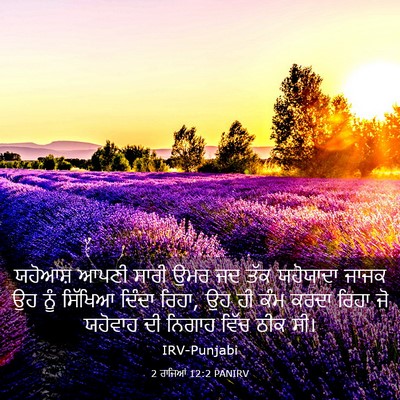 Picture 03 - 2 ਰਾਜਿਆਂ 12:2 PANIRV - ਯਹੋਆਸ਼ ਆਪਣੀ ਸਾਰੀ - Bible Verse Picture
