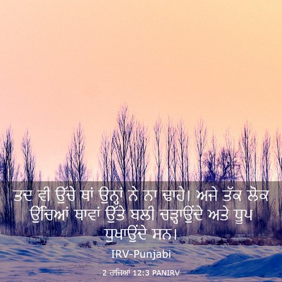 Picture 03 - 2 ਰਾਜਿਆਂ 12:3 PANIRV - ਤਦ ਵੀ ਉੱਚੇ ਥਾਂ - Bible Verse Picture