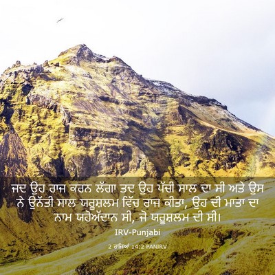 Picture 03 - 2 ਰਾਜਿਆਂ 14:2 PANIRV - ਜਦ ਉਹ ਰਾਜ ਕਰਨ ਲੱਗਾ - Bible Verse Picture