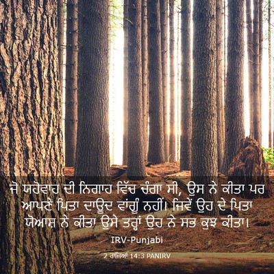 Picture 03 - 2 ਰਾਜਿਆਂ 14:3 PANIRV - ਜੋ ਯਹੋਵਾਹ ਦੀ ਨਿਗਾਹ - Bible Verse Picture