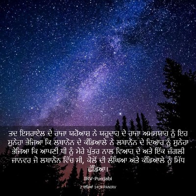 Picture 03 - 2 ਰਾਜਿਆਂ 14:9 PANIRV - ਤਦ ਇਸਰਾਏਲ ਦੇ ਰਾਜਾ - Bible Verse Picture