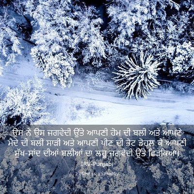 Picture 03 - 2 ਰਾਜਿਆਂ 16:13 PANIRV - ਉਸ ਨੇ ਉਸ ਜਗਵੇਦੀ - Bible Verse Picture