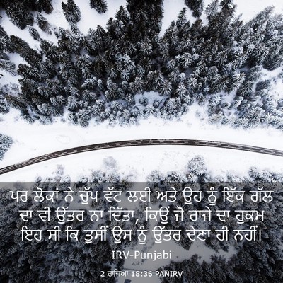 Picture 03 - 2 ਰਾਜਿਆਂ 18:36 PANIRV - ਪਰ ਲੋਕਾਂ ਨੇ ਚੁੱਪ - Bible Verse Picture