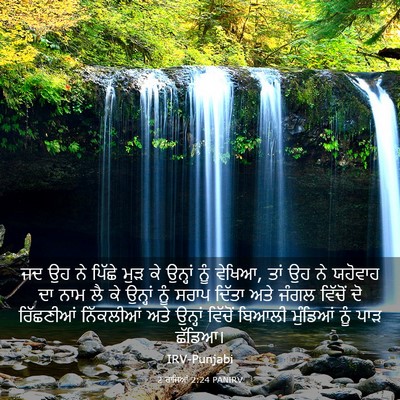 Picture 03 - 2 ਰਾਜਿਆਂ 2:24 PANIRV - ਜਦ ਉਹ ਨੇ ਪਿੱਛੇ ਮੁੜ - Bible Verse Picture