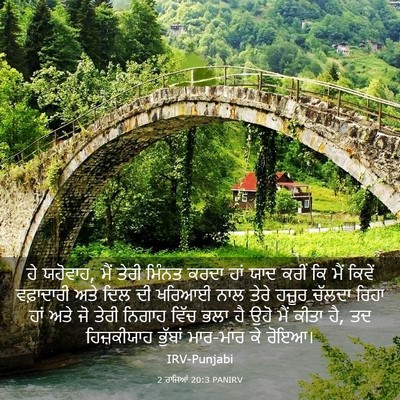 Picture 03 - 2 ਰਾਜਿਆਂ 20:3 PANIRV - ਹੇ ਯਹੋਵਾਹ, ਮੈਂ ਤੇਰੀ - Bible Verse Picture