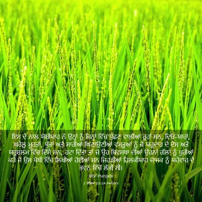 Picture 03 - 2 ਰਾਜਿਆਂ 23:24 PANIRV - ਇਸ ਦੇ ਨਾਲ ਯੋਸ਼ੀਯਾਹ - Bible Verse Picture